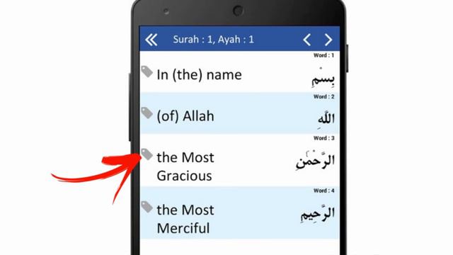 Quranic words смотреть онлайн