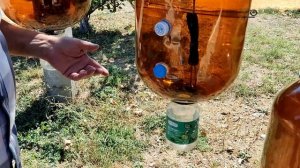 Бутылочное пчеловодство. Михаил Васильевич Смолянский. 2ч.