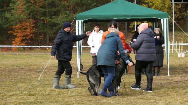 Бетэльгейзе Марс Арес