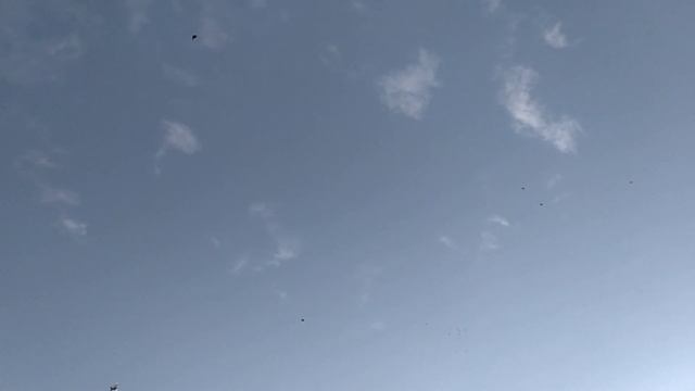 Гон голубей Краснодарского края смотреть онлайн