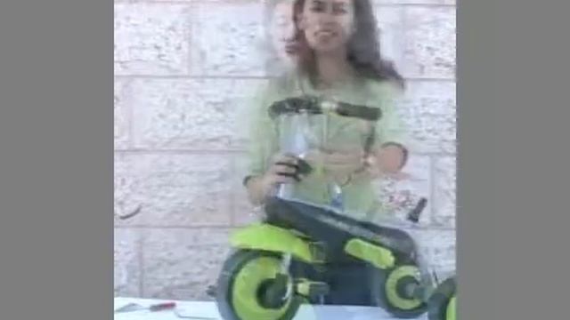 ZOO.wmv смотреть онлайн