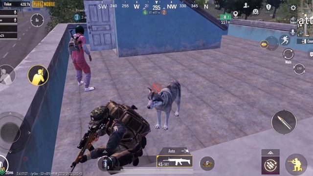 PUBG:Cobra Scar Compilation(NO ARMOR VS LEVEL 6) (Metro Royale) смотреть онлайн