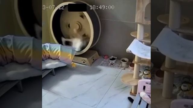 VID_20231113_184048_994.mp4