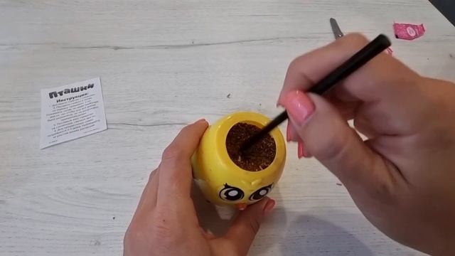 Выращиваем травку!🪴 ЭКО эксперимент. Понравится ли она коту? 😺 смотреть онлайн