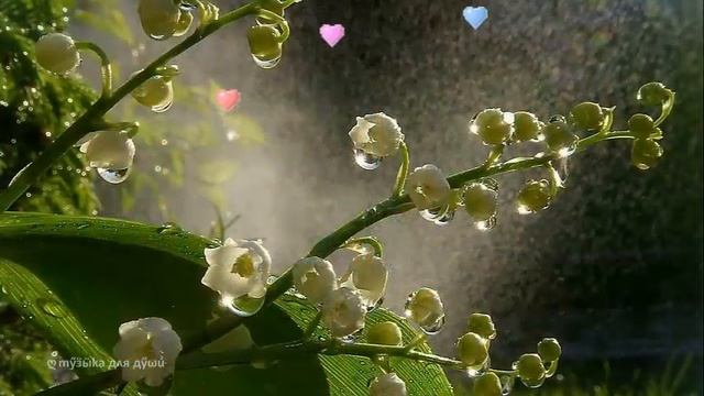 Слушать приятную романтическую музыку без слов ✿ Цветочная фантазия для души смотреть онлайн