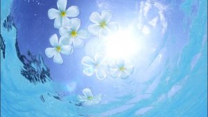 Фрэнк Кинслоу  Практика «Найди свое тонкое тело»