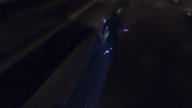 The Flash season 2 trailer Русская озвучка смотреть онлайн