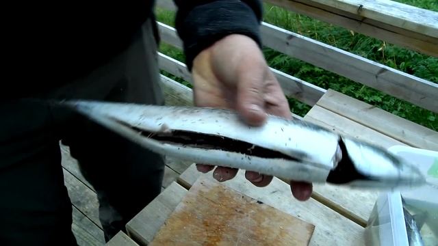 Скумбрия на гриле в Норвегии смотреть онлайн