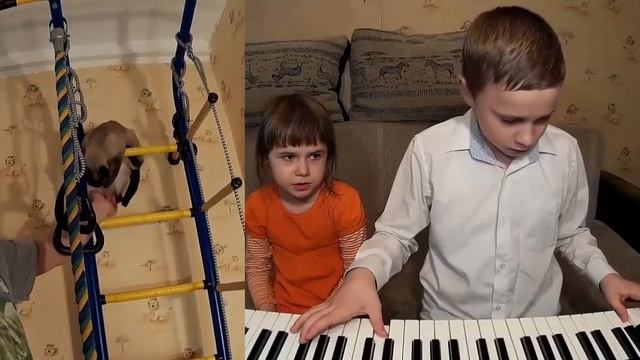Как заставить детей играть на пианино (синтезаторе)? Точнее, как их заинтересовать, а не заставлять смотреть онлайн