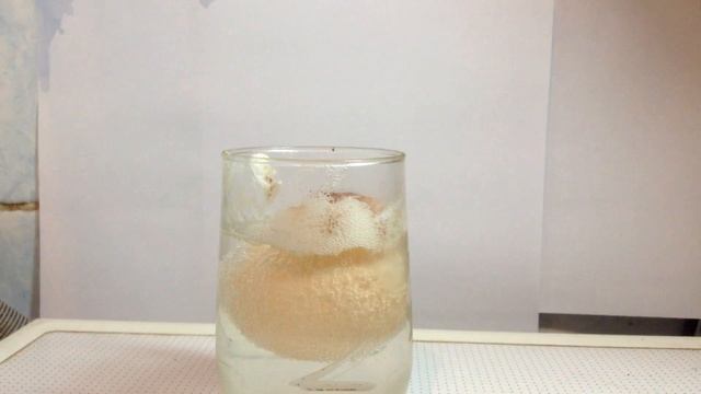 Проверим. Яйце + уксус = ? смотреть онлайн