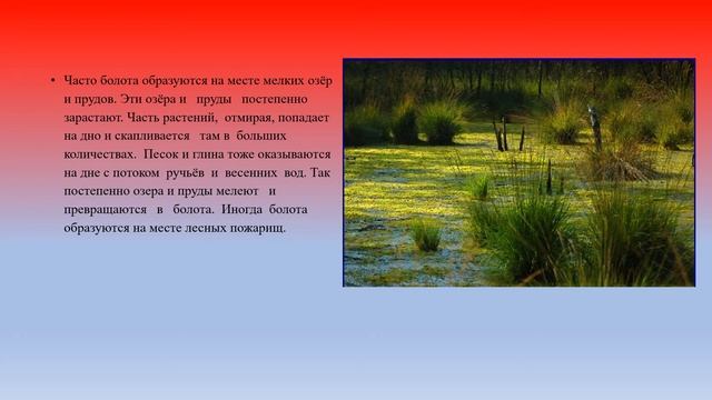 Болота, их осушение география 6 кл смотреть онлайн