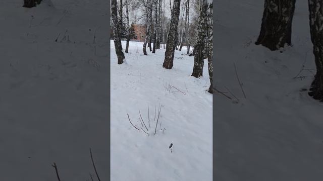 Малинуа 6 месяцев смотреть онлайн