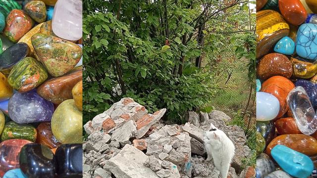 Камни Влашича смотреть онлайн