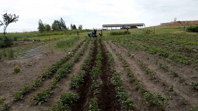 Самодельный мини трактор из мотоблока вейма 1050