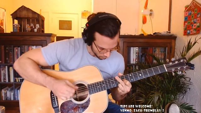 Michael Hedges - Java Man - performed by Zach Tremblay смотреть онлайн