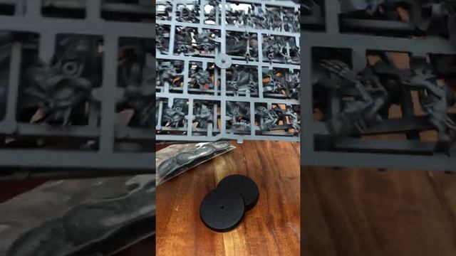 A Look Inside Flesh Eater Court's New Warcry Box смотреть онлайн