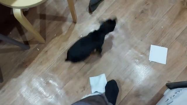 ВЛОГ: Купила новый тюль / Хочу увидеть своими глазами / Будни в станице смотреть онлайн