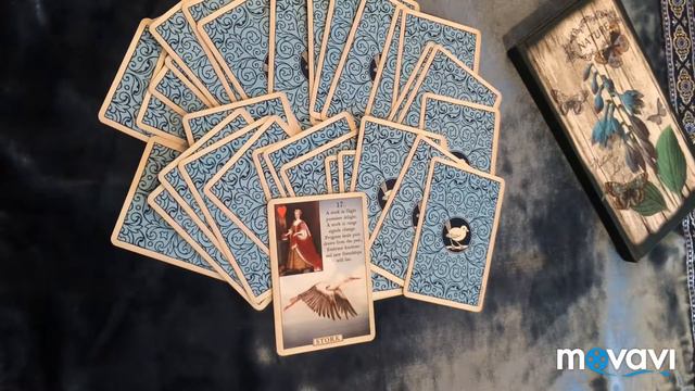 Blue bird Lenormand/голубая птица Ленорман. Таро, оракул. Перевод. Аист смотреть онлайн