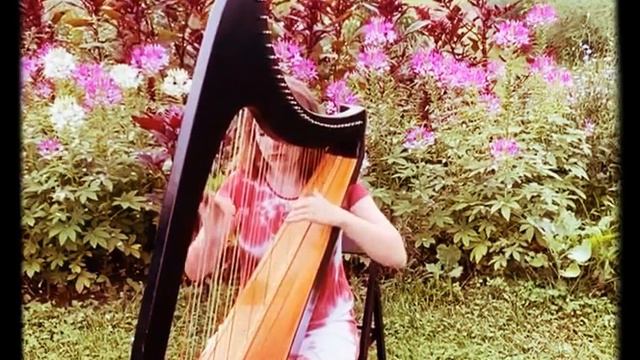 Brian Boru and the tale of the Irish Harp смотреть онлайн