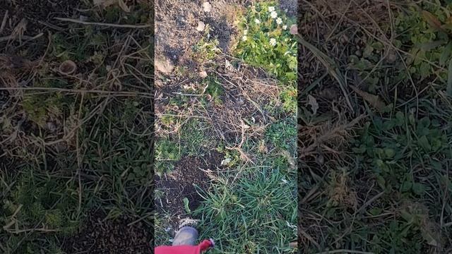 счастье любит тишину правда ли это? смотреть онлайн