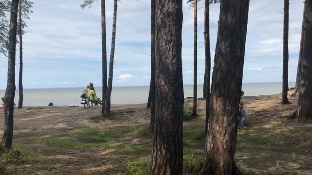 ОТДЫХ НА БЕРЕГУ ФИНСКОГО ЗАЛИВА | ГДЕ ОТДОХНУТЬ В ПЕТЕРБУРГЕ смотреть онлайн