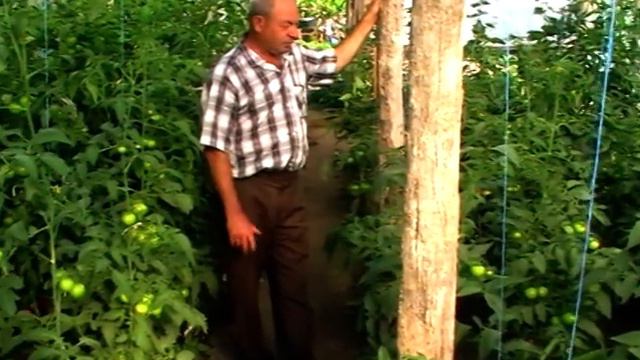 с.Будей Дунаф Пётр Николаевич хобби смотреть онлайн