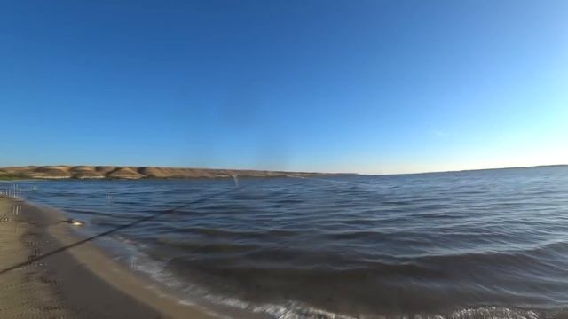 ЗА ТАКОЕ НА РЫБАЛКЕ МОЖНО ПОПАСТЬ В ТЮРЬМУ! Рыбалка с ночёвкой на сазана. смотреть онлайн