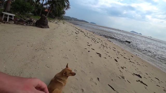 В Италии ХУЖЕ, чем в России?? ЖЕСТЬ в автобусе! Отдых в Амальфи смотреть онлайн