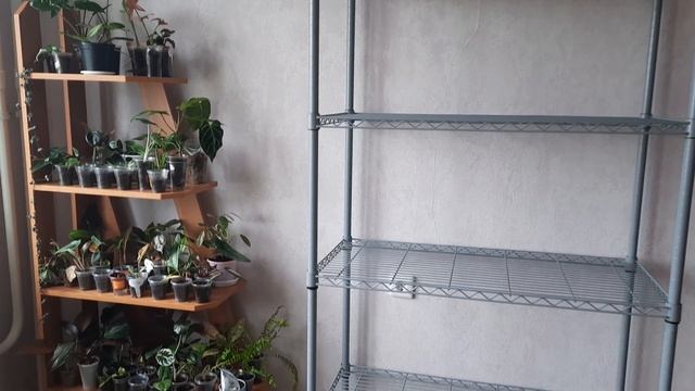 Новый стеллаж для цветочков!!! смотреть онлайн