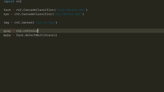 Membuat Program Face, Eye dan Edge Detector ! | Tutorial OpenCV Python Bahasa Indonesia смотреть онлайн