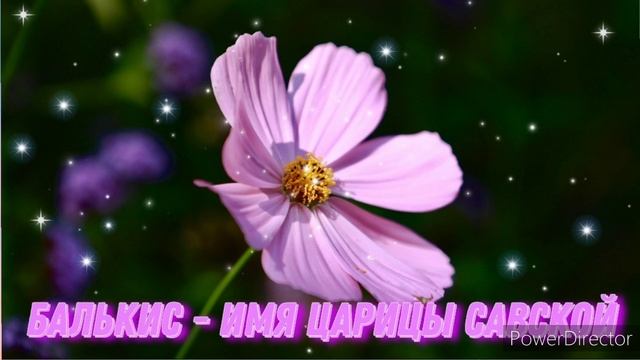 Мусульманские красивые имена для девочек. Имена от А до В смотреть онлайн