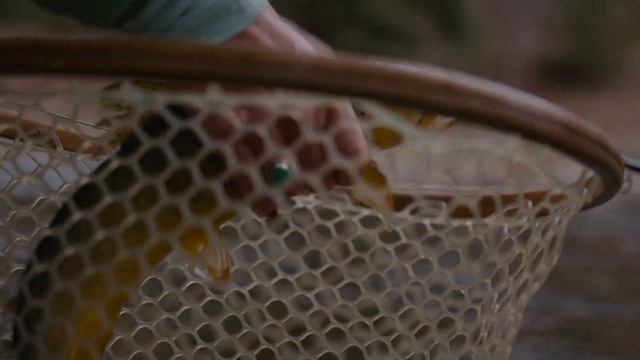 Temple Fork Outfitters - Blue Ribbon смотреть онлайн