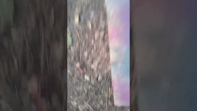 Девушку учат рисовать граффити!Новое для меня вещь! смотреть онлайн