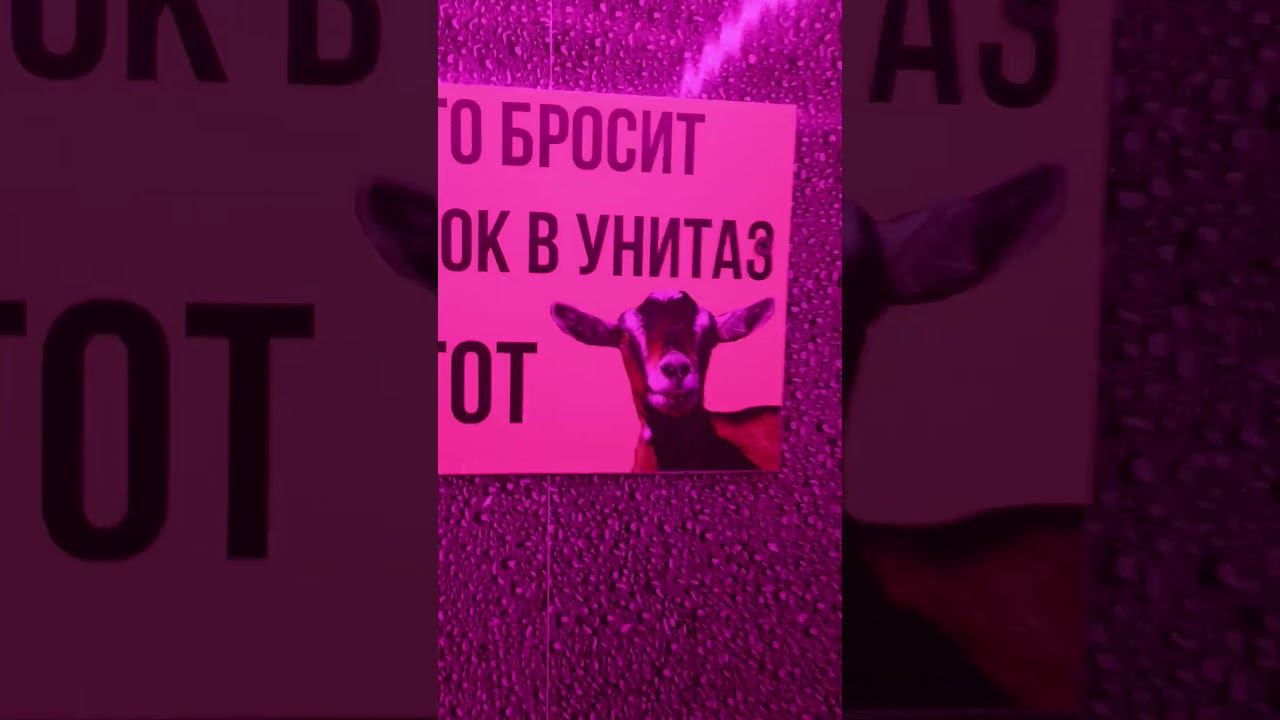 Самый юморной платный туалет в Абхазии который я видел смотреть онлайн