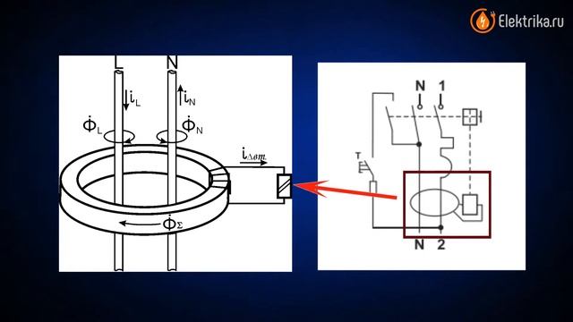 Женщины в ринге: мощь и наслаждение