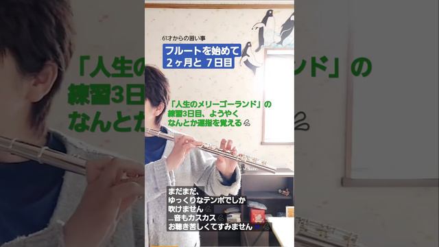 「61才からの習い事」フルートを始めました。 смотреть онлайн