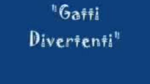 Кошачьи проделки