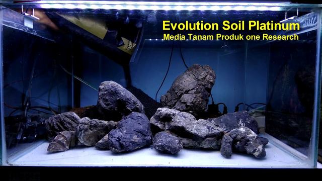 Step by Step Simple Aquascape Tema Ala Iwagumi Tank 60 cm #91 смотреть онлайн