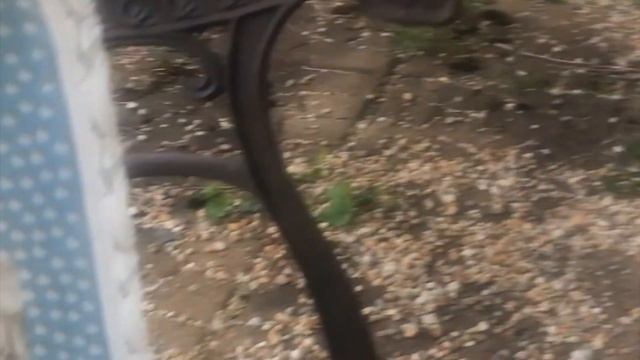 Psalm 23 & Hail Mary смотреть онлайн