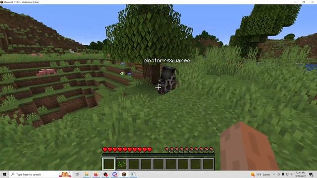 Make your Single Player Minecraft World Public! Let friends join (Java) смотреть онлайн