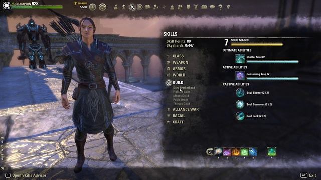 ESO The Druid (Warden Character) Elsweyr Chapter. смотреть онлайн