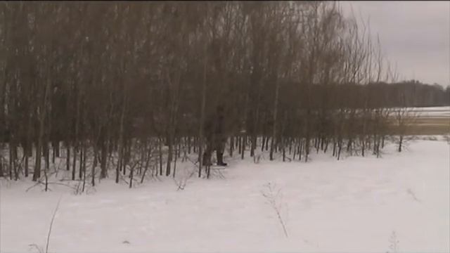 гуси 2017 смотреть онлайн