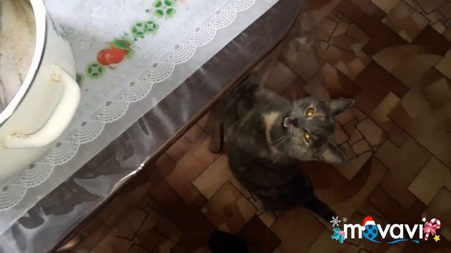 Психологические Лекции