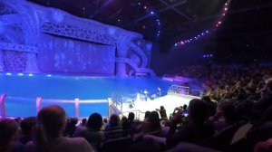 Москвариум шоу с касатками