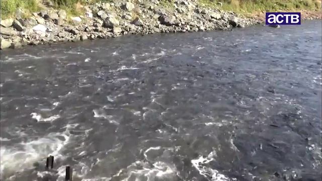 Законно ли стоят РУЗы на реке Очепухе в Корсаковском районе? смотреть онлайн