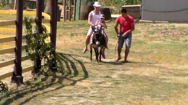 я на осле смотреть онлайн