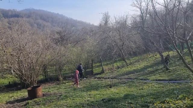 Поездка в гости в Ахштырь смотреть онлайн