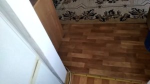 Где в холодильнике холоднее?