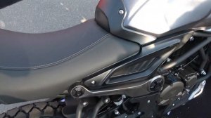 VOGE 300 ACX Scrambler 2021