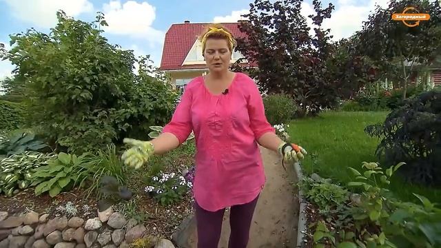 Мастер-класс по созданию садовой дорожки смотреть онлайн